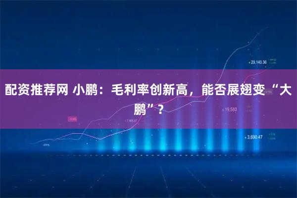 配资推荐网 小鹏：毛利率创新高，能否展翅变 “大鹏”？