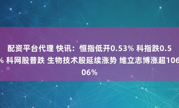 配资平台代理 快讯：恒指低开0.53% 科指跌0.51% 科网股普跌 生物技术股延续涨势 维立志博涨超106%